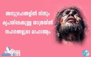Read more about the article അനുഗ്രഹങ്ങളിൽ നിന്നും കൃപയിലേക്കുള്ള യാത്രയിൽ സഹനങ്ങളുടെ മാഹാത്മ്യം.