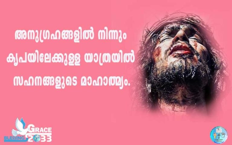 അനുഗ്രഹങ്ങളിൽ നിന്നും കൃപയിലേക്കുള്ള യാത്രയിൽ സഹനങ്ങളുടെ മാഹാത്മ്യം.